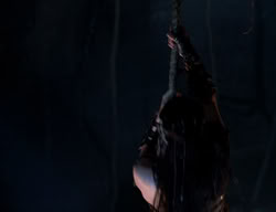 extant_XenaWarriorPrincess_2x13-TheQuest_03219