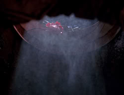 extant_XenaWarriorPrincess_2x13-TheQuest_03455