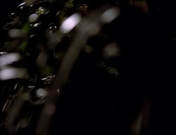 extant_XenaWarriorPrincess_2x13-TheQuest_03475