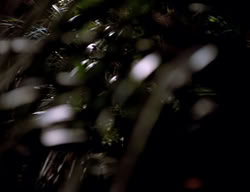 extant_XenaWarriorPrincess_2x13-TheQuest_03476