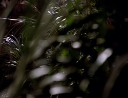 extant_XenaWarriorPrincess_2x13-TheQuest_03477
