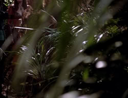 extant_XenaWarriorPrincess_2x13-TheQuest_03478