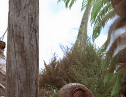 extant_XenaWarriorPrincess_2x14-ANecessaryEvil_00222
