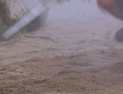 extant_XenaWarriorPrincess_2x14-ANecessaryEvil_00415