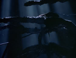 extant_XenaWarriorPrincess_2x14-ANecessaryEvil_00766