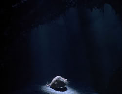 extant_XenaWarriorPrincess_2x14-ANecessaryEvil_00774
