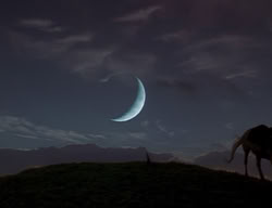 extant_XenaWarriorPrincess_2x14-ANecessaryEvil_00959