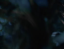 extant_XenaWarriorPrincess_2x14-ANecessaryEvil_00980