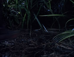 extant_XenaWarriorPrincess_2x14-ANecessaryEvil_01050