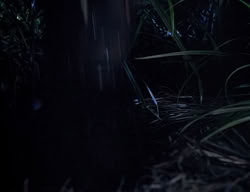 extant_XenaWarriorPrincess_2x14-ANecessaryEvil_01051