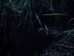 extant_XenaWarriorPrincess_2x14-ANecessaryEvil_01052