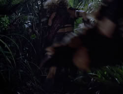 extant_XenaWarriorPrincess_2x14-ANecessaryEvil_01076