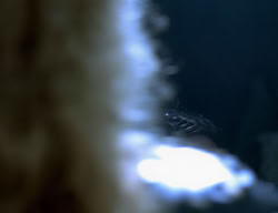 extant_XenaWarriorPrincess_2x14-ANecessaryEvil_01192