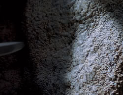 extant_XenaWarriorPrincess_2x14-ANecessaryEvil_01243