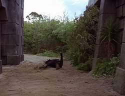 extant_XenaWarriorPrincess_2x14-ANecessaryEvil_01829