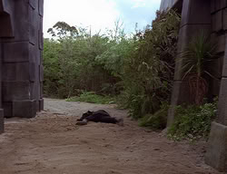 extant_XenaWarriorPrincess_2x14-ANecessaryEvil_01830