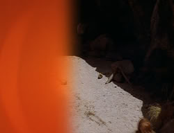 extant_XenaWarriorPrincess_2x14-ANecessaryEvil_01922