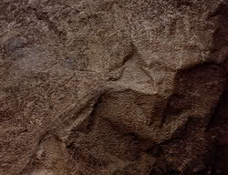 extant_XenaWarriorPrincess_2x14-ANecessaryEvil_02042
