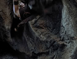 extant_XenaWarriorPrincess_2x14-ANecessaryEvil_02217