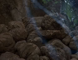 extant_XenaWarriorPrincess_2x14-ANecessaryEvil_02445