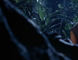 extant_XenaWarriorPrincess_2x14-ANecessaryEvil_02447