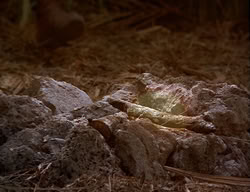 extant_XenaWarriorPrincess_2x14-ANecessaryEvil_02768