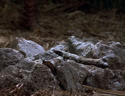 extant_XenaWarriorPrincess_2x14-ANecessaryEvil_02769