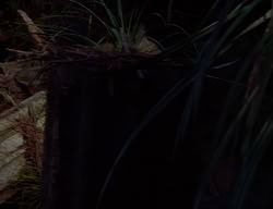 extant_XenaWarriorPrincess_2x14-ANecessaryEvil_02833