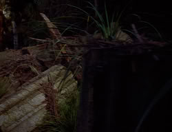 extant_XenaWarriorPrincess_2x14-ANecessaryEvil_02834