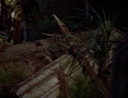 extant_XenaWarriorPrincess_2x14-ANecessaryEvil_02835