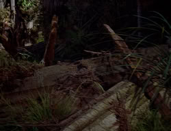 extant_XenaWarriorPrincess_2x14-ANecessaryEvil_02836