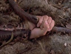 extant_XenaWarriorPrincess_2x14-ANecessaryEvil_03021