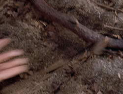 extant_XenaWarriorPrincess_2x14-ANecessaryEvil_03022