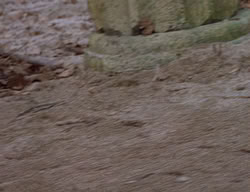 extant_XenaWarriorPrincess_2x14-ANecessaryEvil_03028