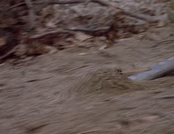 extant_XenaWarriorPrincess_2x14-ANecessaryEvil_03029