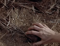 extant_XenaWarriorPrincess_2x14-ANecessaryEvil_03355