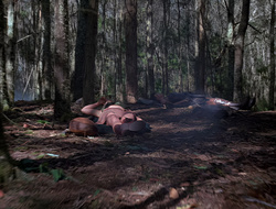 extant_XenaWarriorPrincess_2x15-ADayintheLife_00002