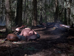extant_XenaWarriorPrincess_2x15-ADayintheLife_00003