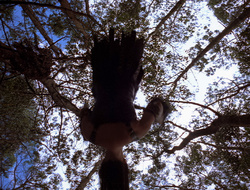 extant_XenaWarriorPrincess_2x15-ADayintheLife_00058