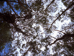 extant_XenaWarriorPrincess_2x15-ADayintheLife_00059