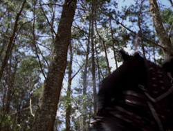 extant_XenaWarriorPrincess_2x15-ADayintheLife_00126