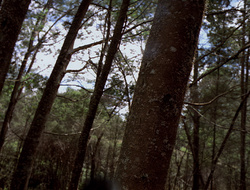 extant_XenaWarriorPrincess_2x15-ADayintheLife_00129