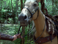 extant_XenaWarriorPrincess_2x15-ADayintheLife_00426