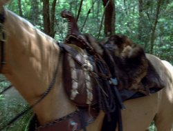 extant_XenaWarriorPrincess_2x15-ADayintheLife_00427