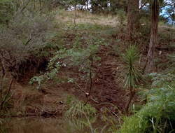 extant_XenaWarriorPrincess_2x15-ADayintheLife_00693