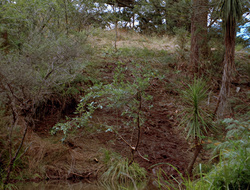 extant_XenaWarriorPrincess_2x15-ADayintheLife_00694