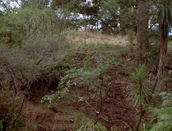 extant_XenaWarriorPrincess_2x15-ADayintheLife_00695
