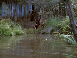 extant_XenaWarriorPrincess_2x15-ADayintheLife_00828