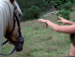 extant_XenaWarriorPrincess_2x15-ADayintheLife_01061