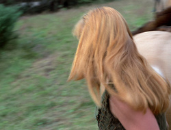 extant_XenaWarriorPrincess_2x15-ADayintheLife_01090